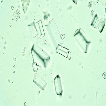 Επιλέχθηκε εικόνα